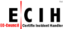 ECIH-Logo-19 ECIH logo