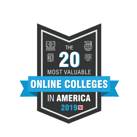 20-online-in-america